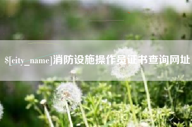 忻州消防设施操作员证书查询网址