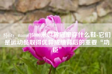 忻州5000米世界冠军穿什么鞋-它们是运动员取得优异成绩背后的重要“功臣”