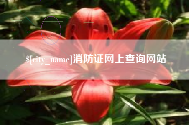 忻州消防证网上查询网站
