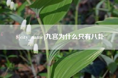 忻州九宫为什么只有八卦