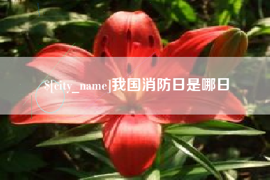 忻州我国消防日是哪日