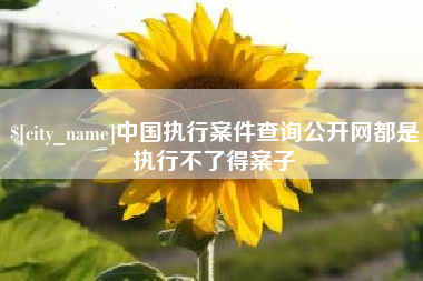 忻州中国执行案件查询公开网都是执行不了得案子
