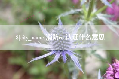 忻州消防ccc认证什么意思