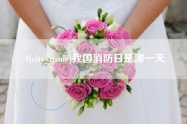 忻州我国消防日是哪一天
