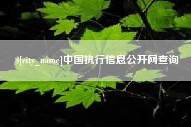 忻州中国执行信息公开网查询