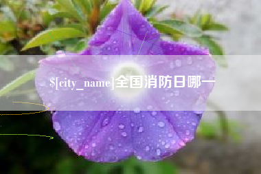 忻州全国消防日哪一