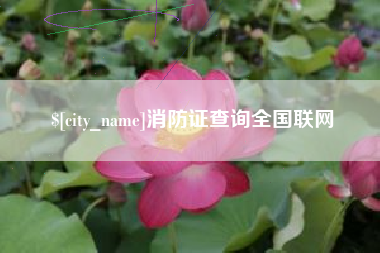 忻州消防证查询全国联网