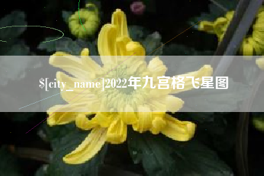 忻州2022年九宫格飞星图
