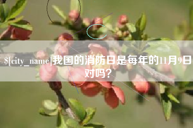 忻州我国的消防日是每年的11月9日对吗？