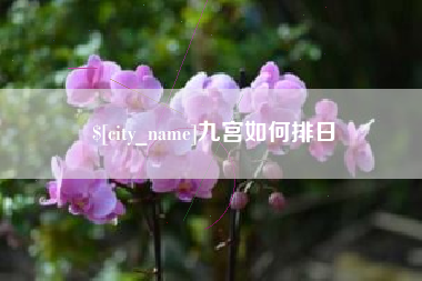 忻州九宫如何排日