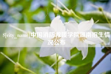 忻州中国消防救援学院湖南招生情况公布