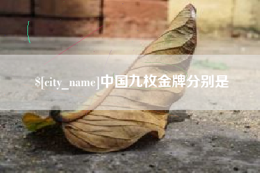 忻州中国九枚金牌分别是