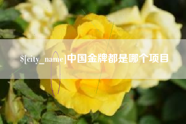 忻州中国金牌都是哪个项目
