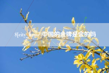 忻州中国的金牌是金的吗