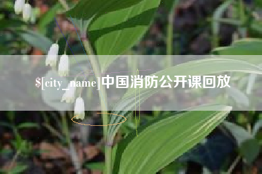 忻州中国消防公开课回放