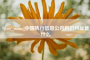 忻州中国执行信息公开网的网址是什么