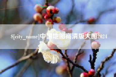 忻州中国地图高清版大图2024
