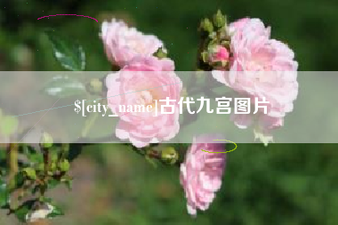 忻州古代九宫图片