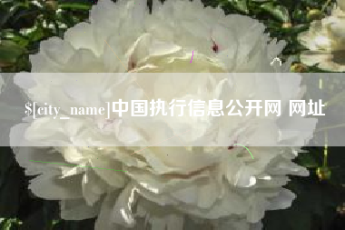 忻州中国执行信息公开网 网址