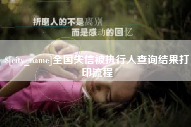 忻州全国失信被执行人查询结果打印流程