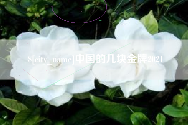 忻州中国的几块金牌2021