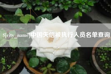 忻州中国失信被执行人员名单查询