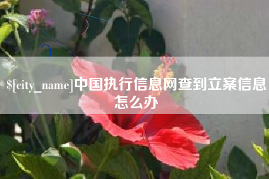 忻州中国执行信息网查到立案信息怎么办