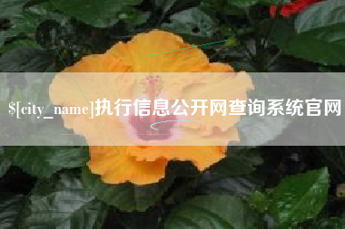 忻州执行信息公开网查询系统官网