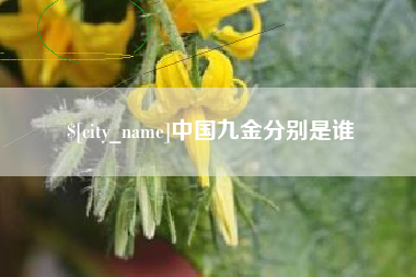 忻州中国九金分别是谁