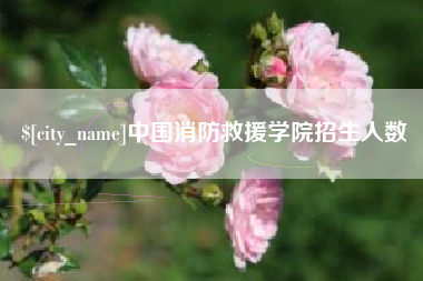 忻州中国消防救援学院招生人数