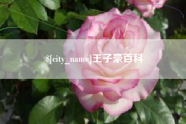 忻州王子豪百科