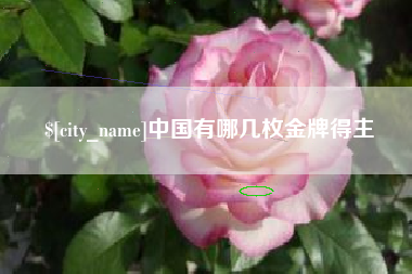 忻州中国有哪几枚金牌得主