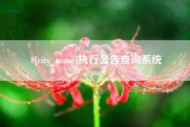 忻州执行公告查询系统