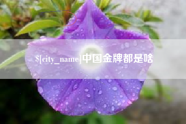 忻州中国金牌都是啥