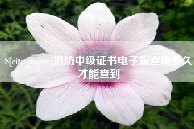 忻州消防中级证书电子版查询多久才能查到