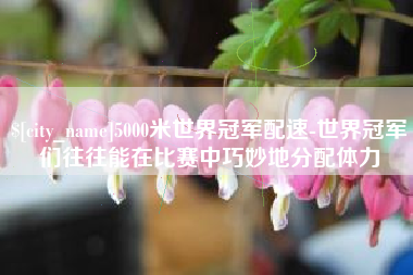 忻州5000米世界冠军配速-世界冠军们往往能在比赛中巧妙地分配体力