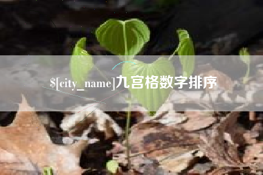 忻州九宫格数字排序