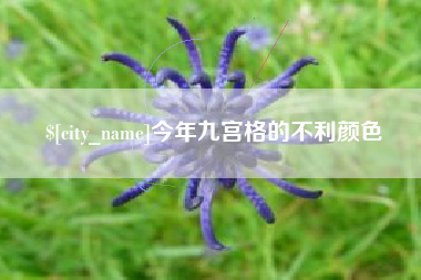 忻州今年九宫格的不利颜色
