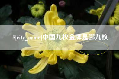 忻州中国九枚金牌是哪九枚