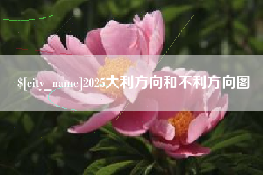 忻州2025大利方向和不利方向图