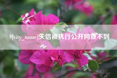 忻州失信被执行公开网查不到