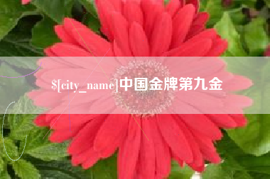 忻州中国金牌第九金