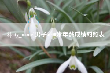 忻州男子5000米年龄成绩对照表