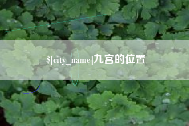 忻州九宫的位置