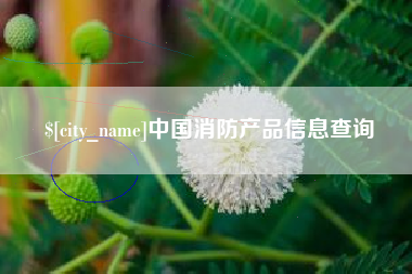 忻州中国消防产品信息查询
