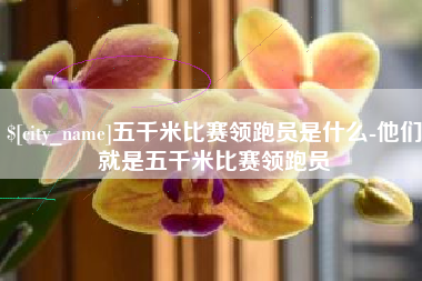 忻州五千米比赛领跑员是什么-他们就是五千米比赛领跑员