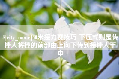 忻州60米接力赛技巧-下压式则是传棒人将棒的前部由上向下传到接棒人手中