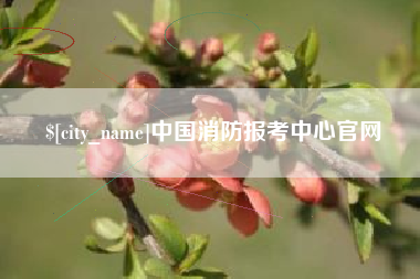 忻州中国消防报考中心官网