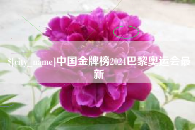 忻州中国金牌榜2024巴黎奥运会最新