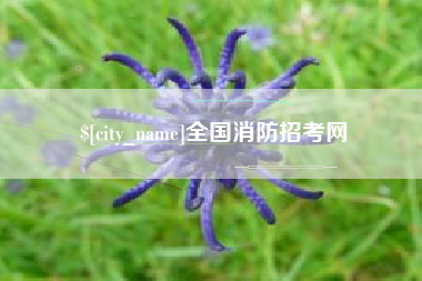 忻州全国消防招考网